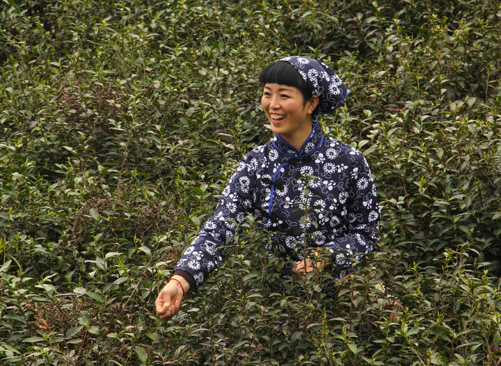 最新更新1